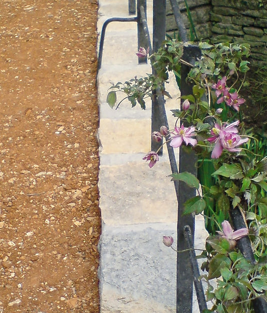 A wrought iron railing with clematis beside a stone path