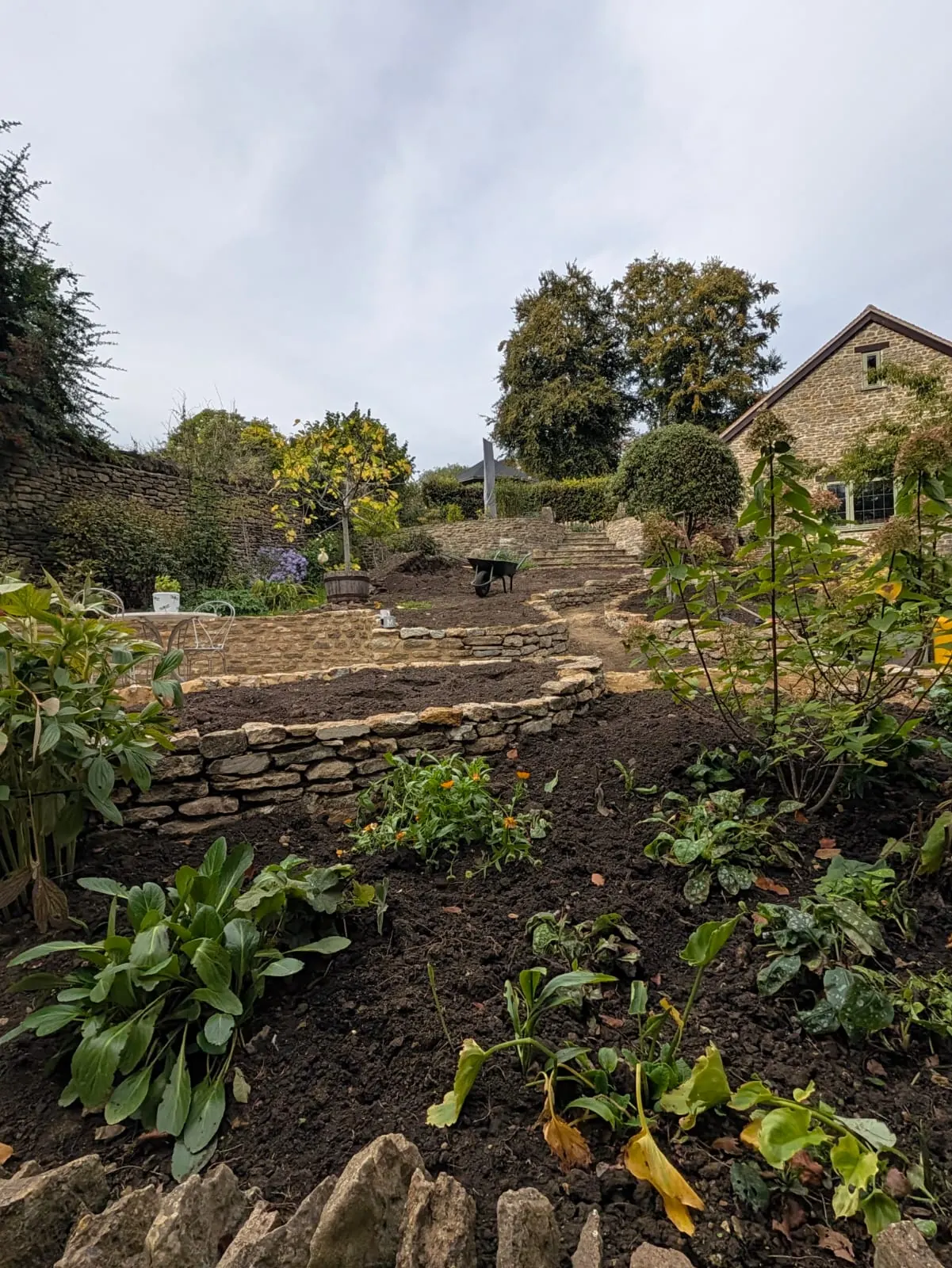 A curved dry stone garden wall surrounded by established planting