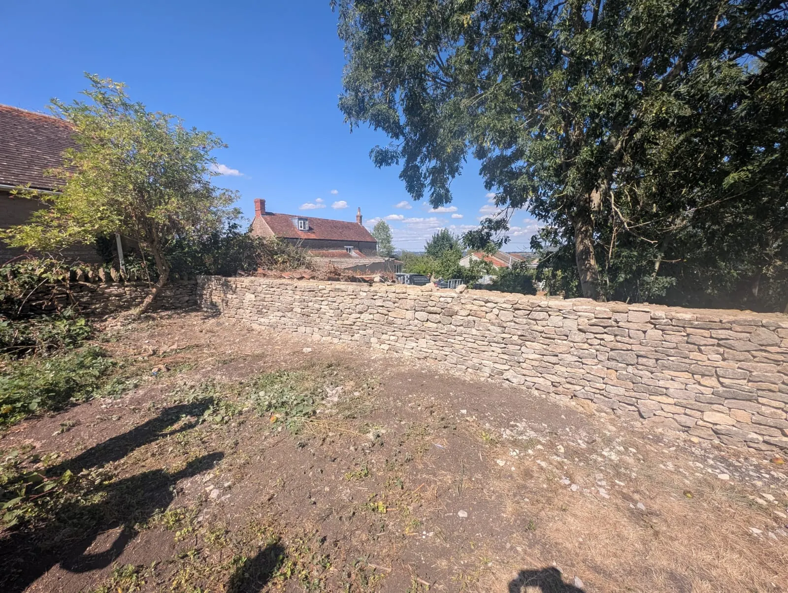 A new dry stone boundary wall curving around a large tree