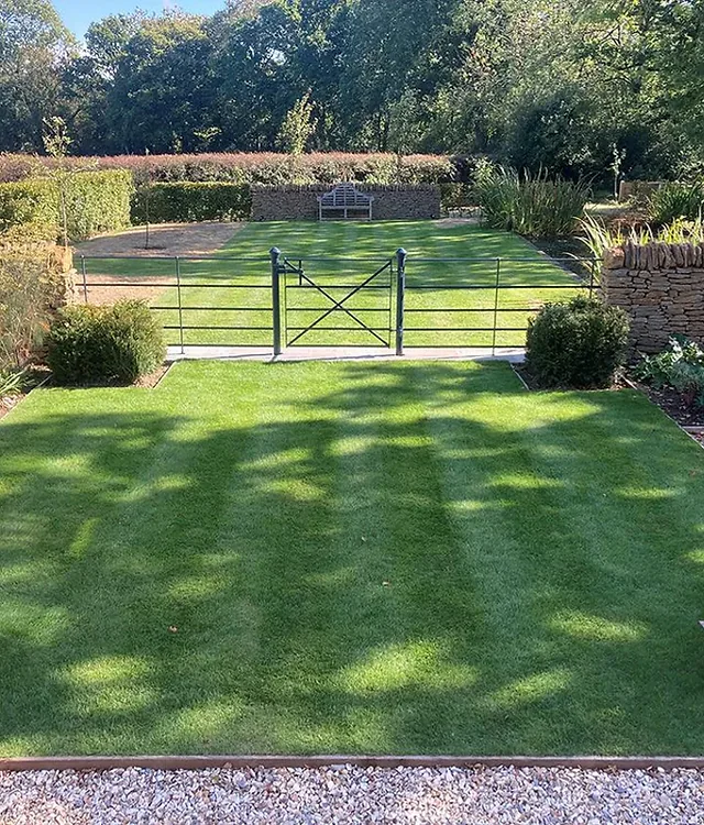 A striped lawn running to a field gate in a hedged garden