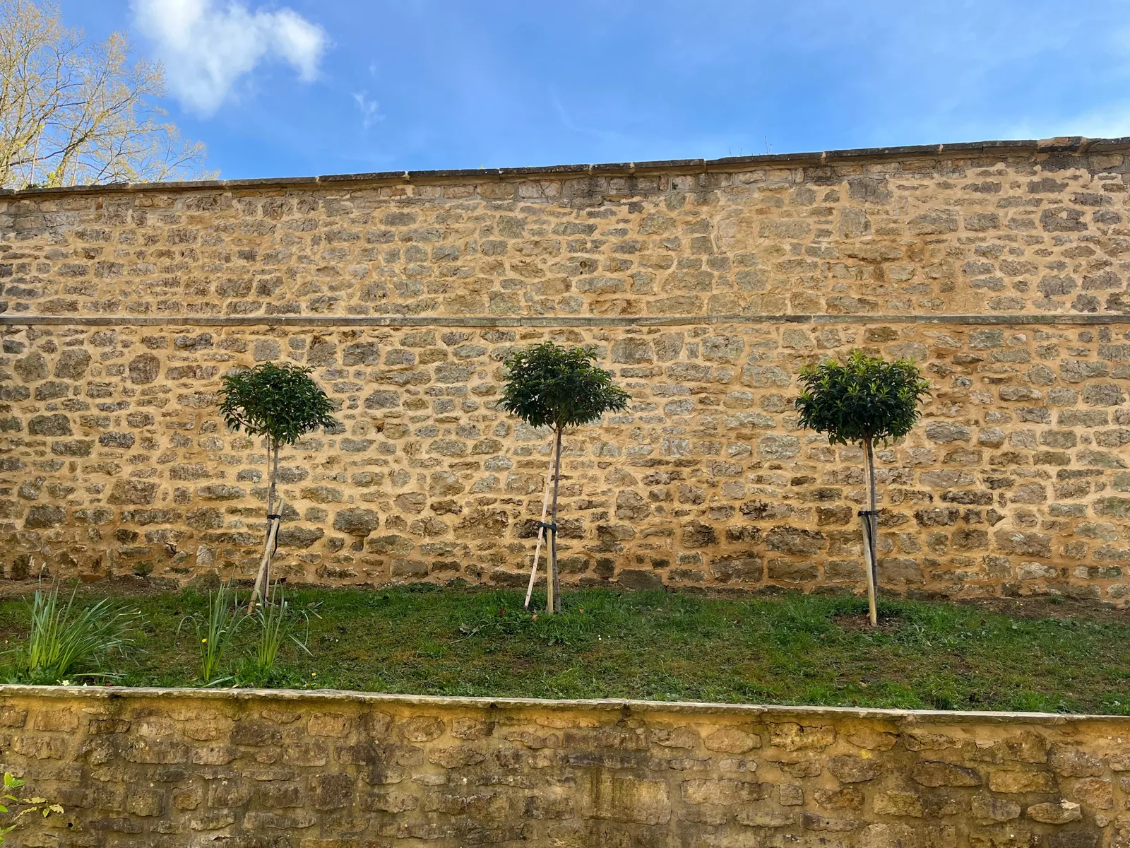 An older stone wall restored with traditional lime mortar pointing