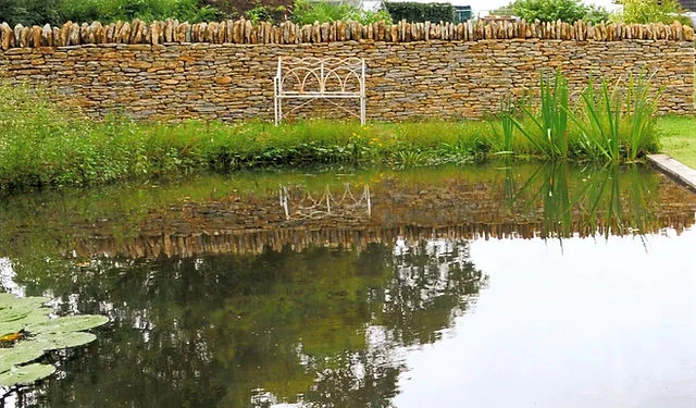 A garden pond with a dry stone wall and bench behind it