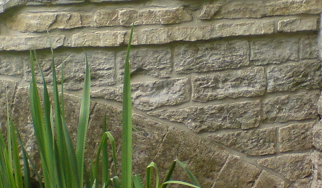 Close view of cut stonework with iris leaves in front