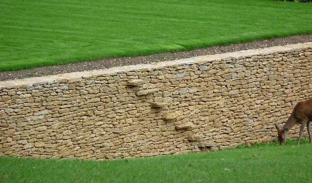 A dry stone wall with built-in stone steps and a deer grazing beside it