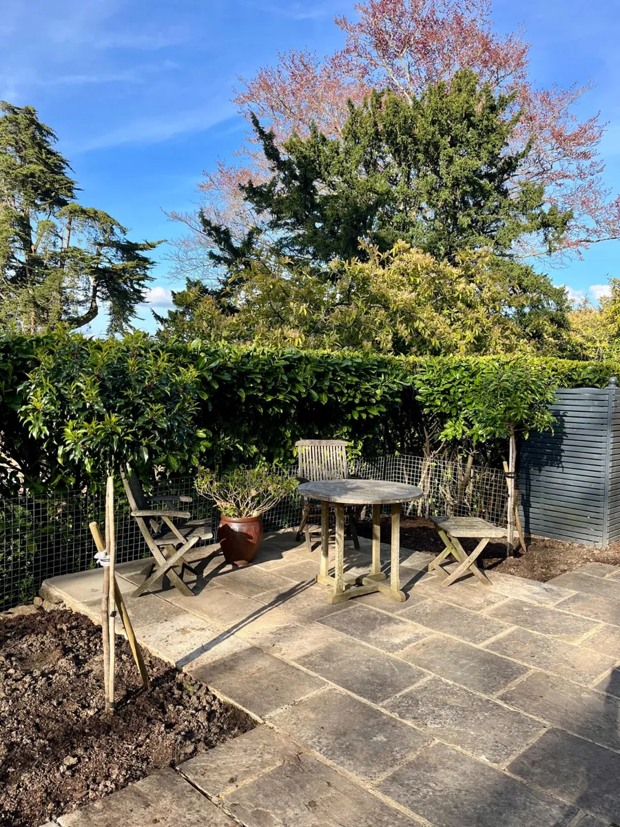 A paved courtyard before the landscaping work began
